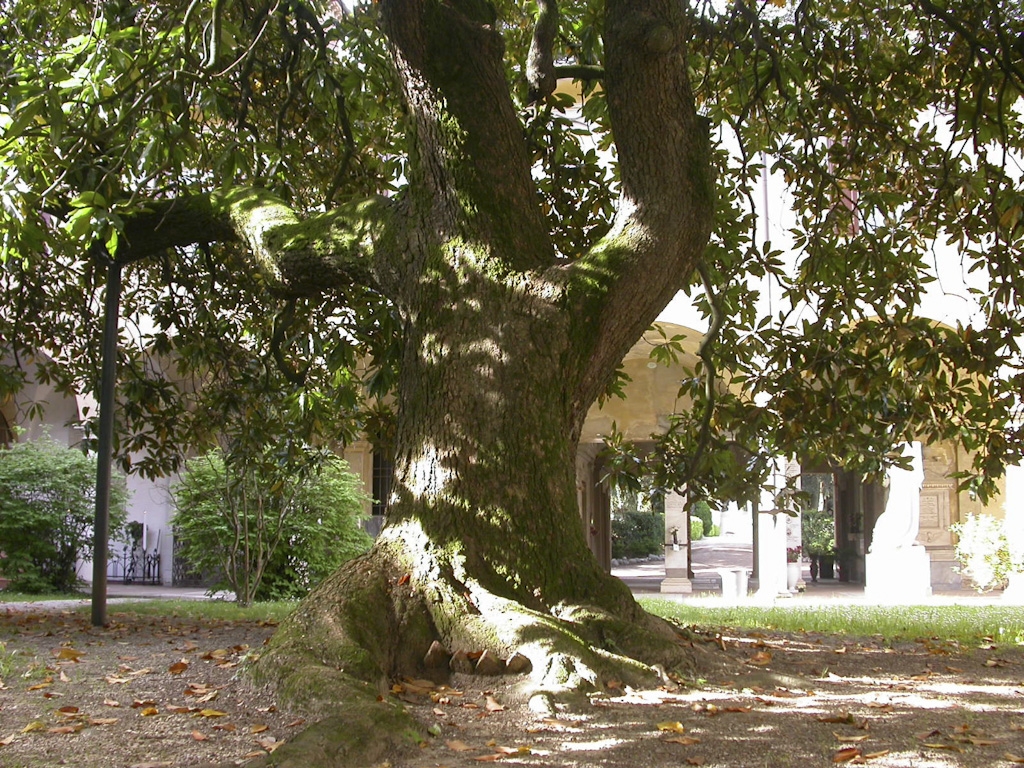 IMOLA Piratello aprile 09 044